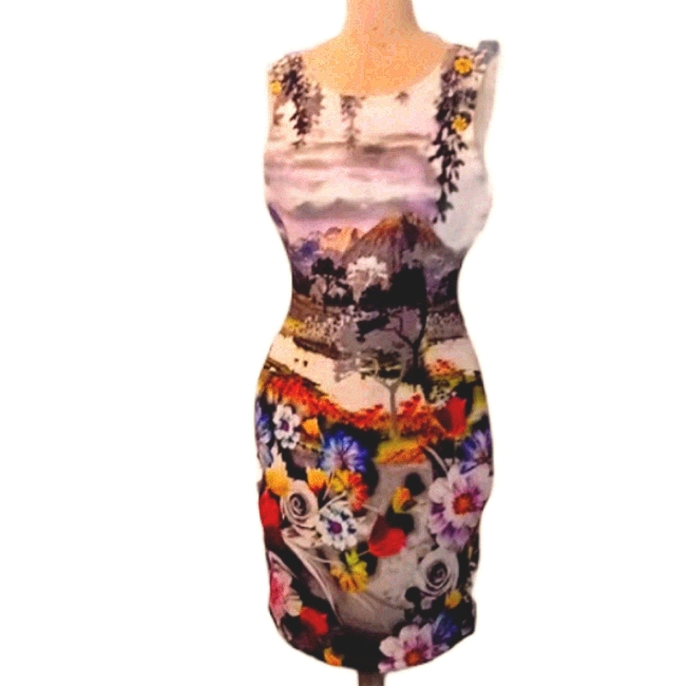 Panoram cocktail Dress sz Large